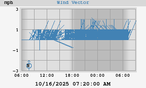 Wind Vector
